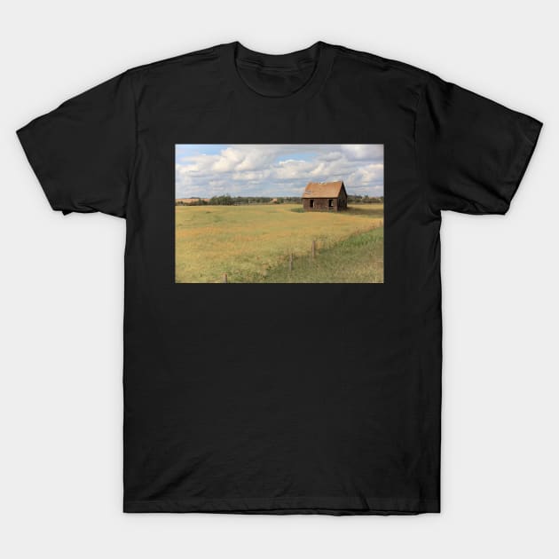 The Homestead T-Shirt by saku1997